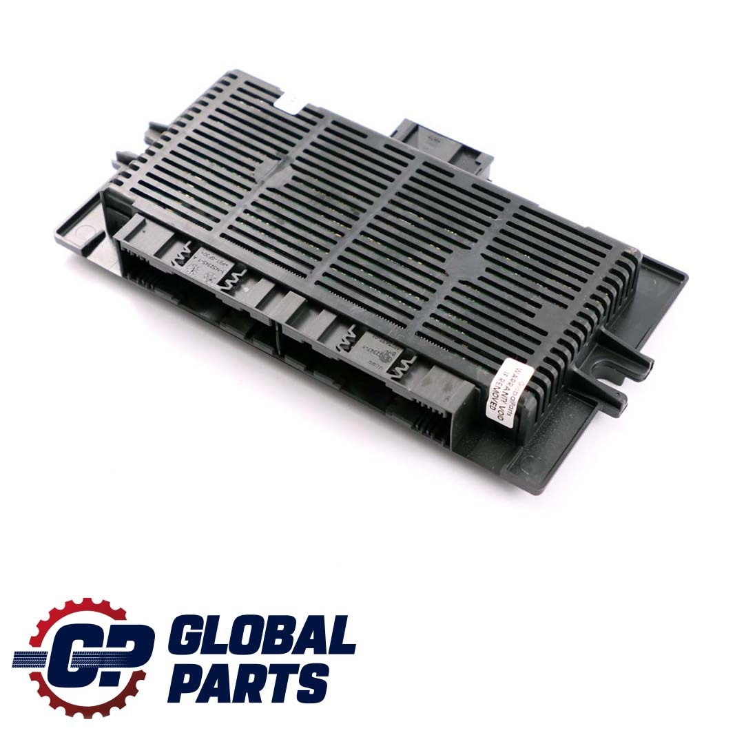 BMW 3 Series E91 Light Module ECU Footwell Module PL2FRMFA Lear 6987998