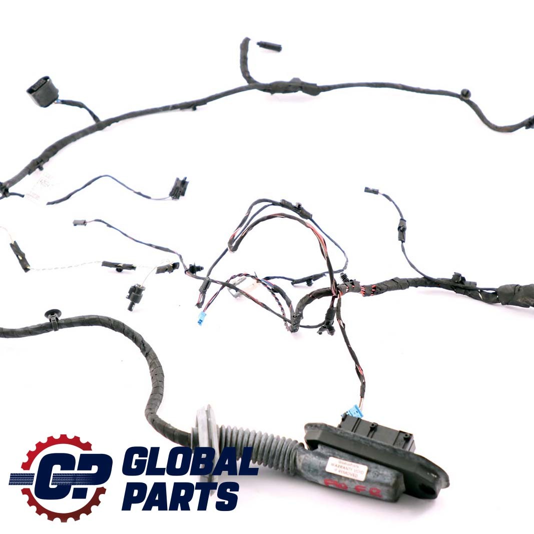 BMW 5 Series F10 F11 Cable Loom Front Driver's Door Wiring Harness 9255986