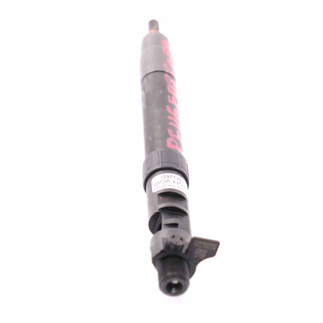 Peugeot 5008 2.0 HDI Diesel Fuel Injector 9686191080