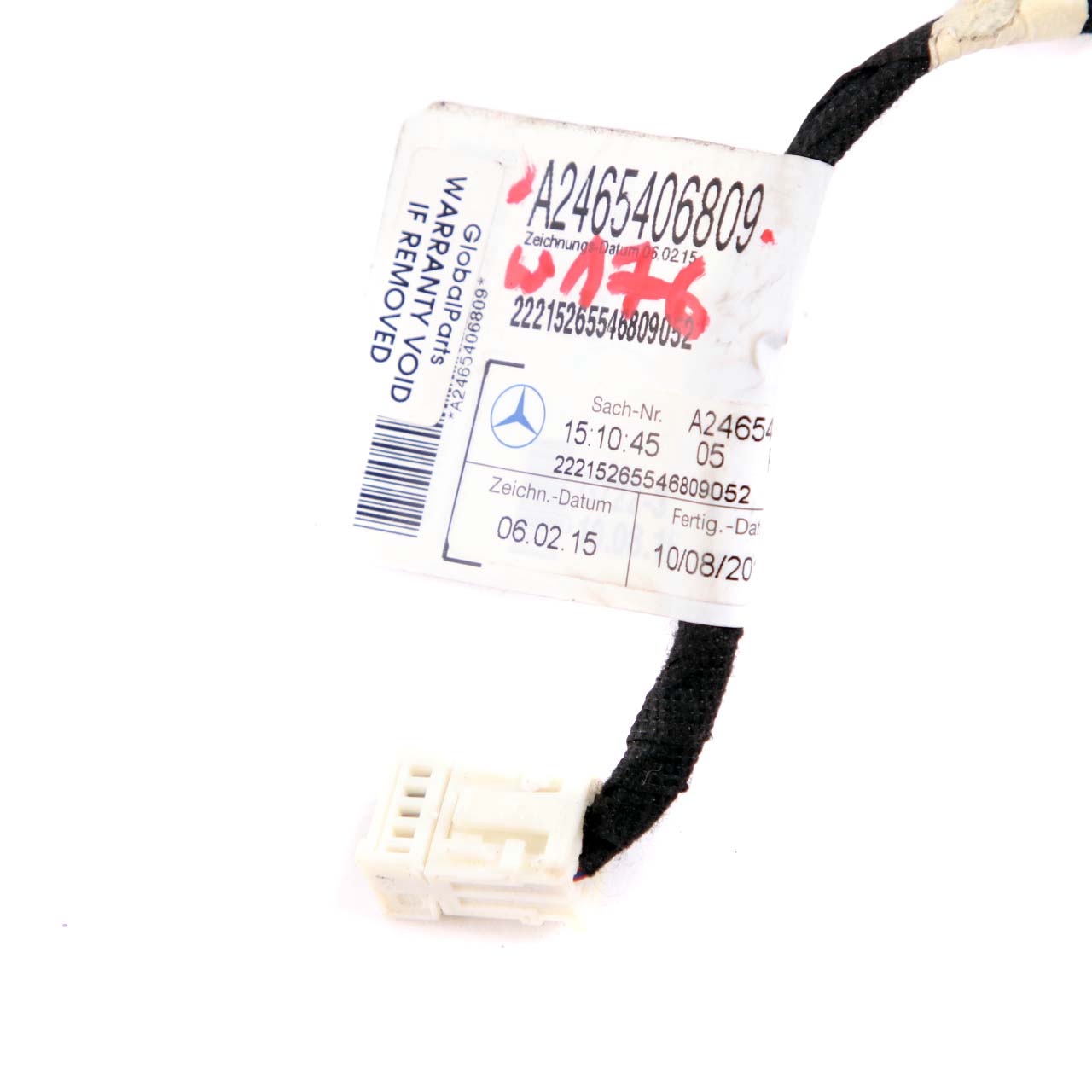 Mercedes W176 W246 Wiring Loom Cable Door Rear Left Right N/O/S A2465406809