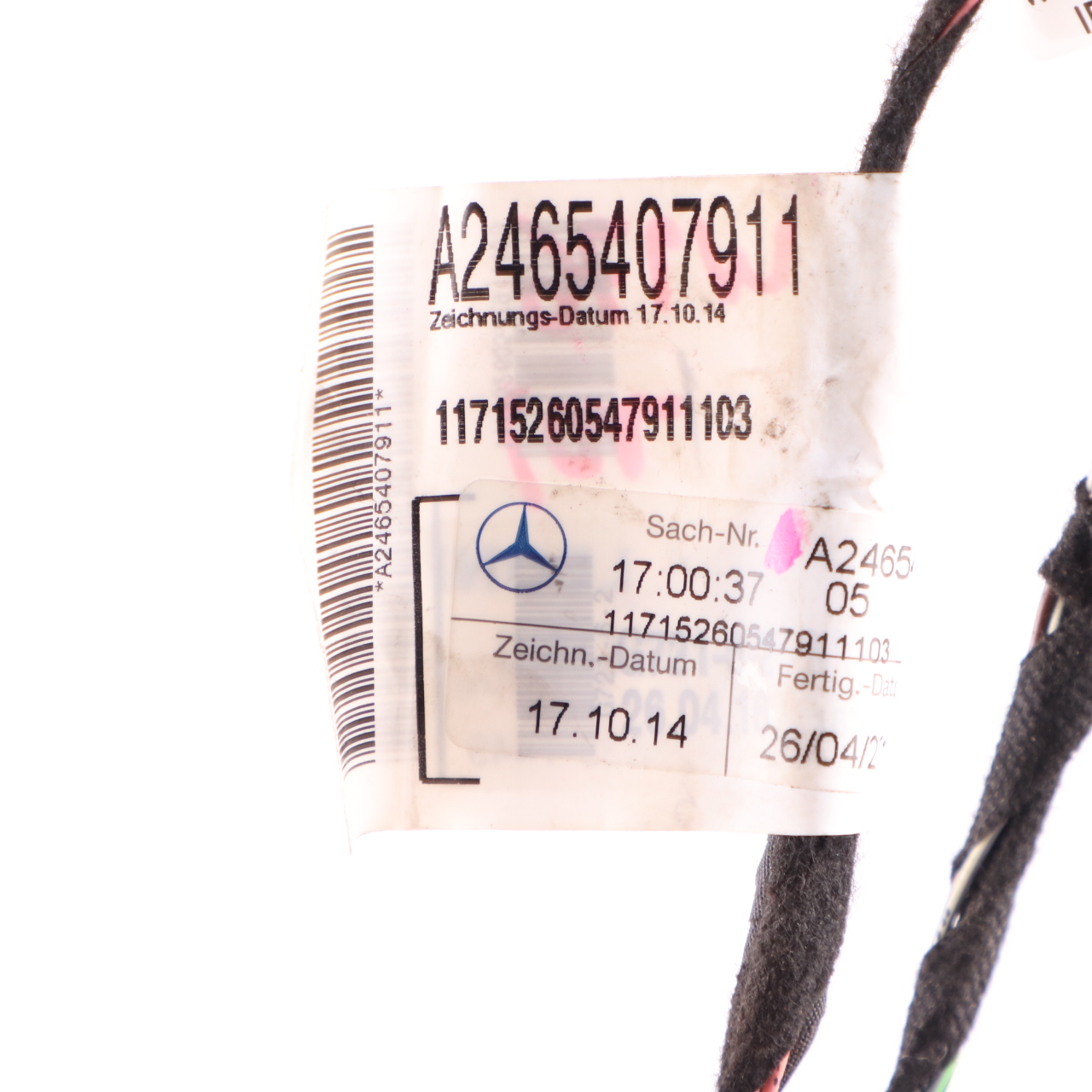 Door Harness Mercedes W176 W246 Cable Loom Wiring Front Right O/S A2465407911